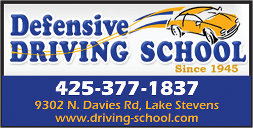 Defensive Driving School logo